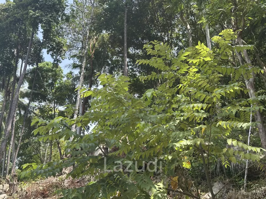 Land with Sea View – Koh Phangan