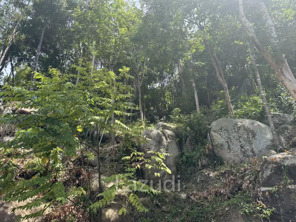 Land with Sea View – Koh Phangan