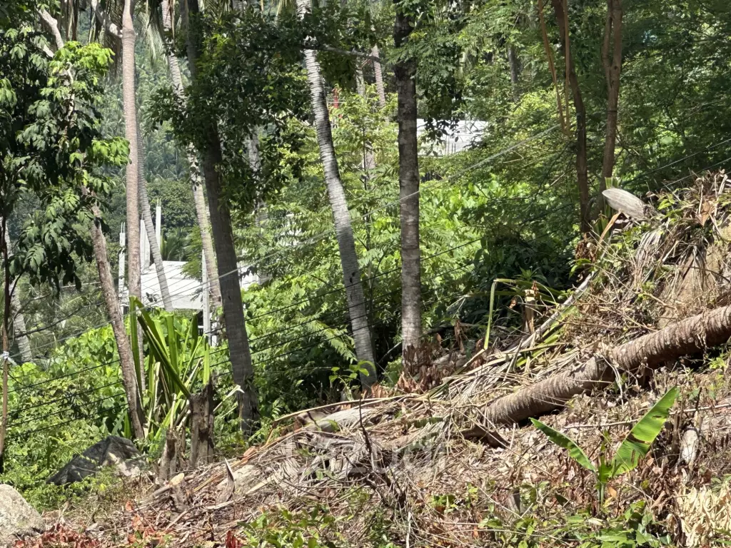 Land with Sea View – Koh Phangan