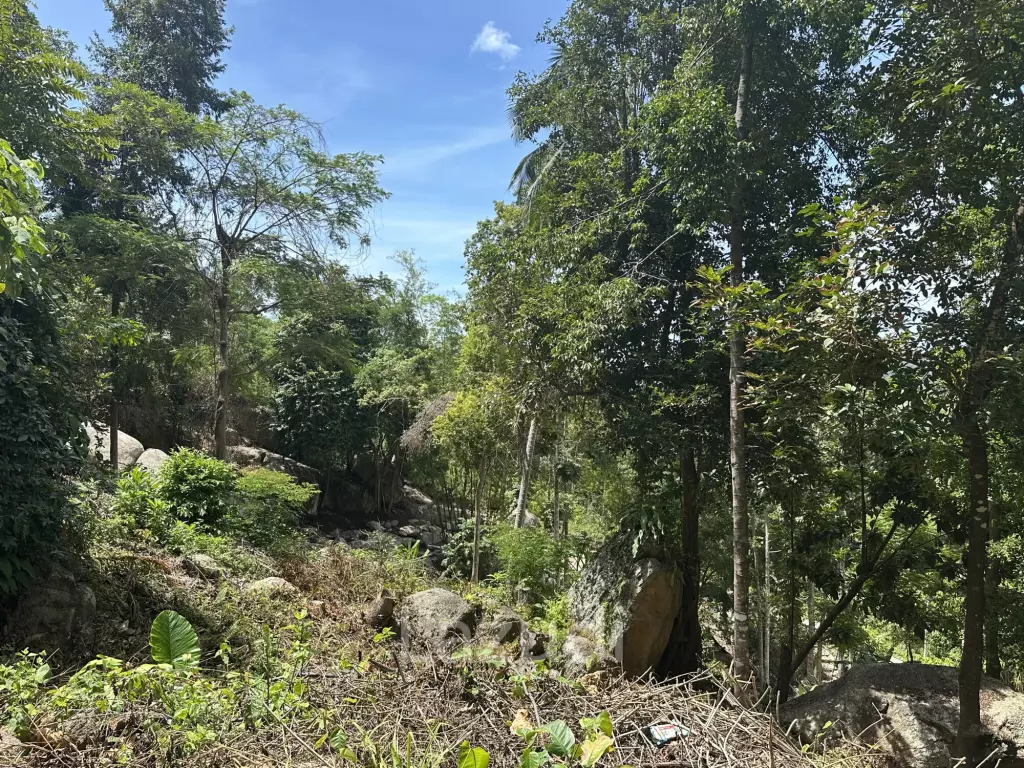 Land with Sea View – Koh Phangan