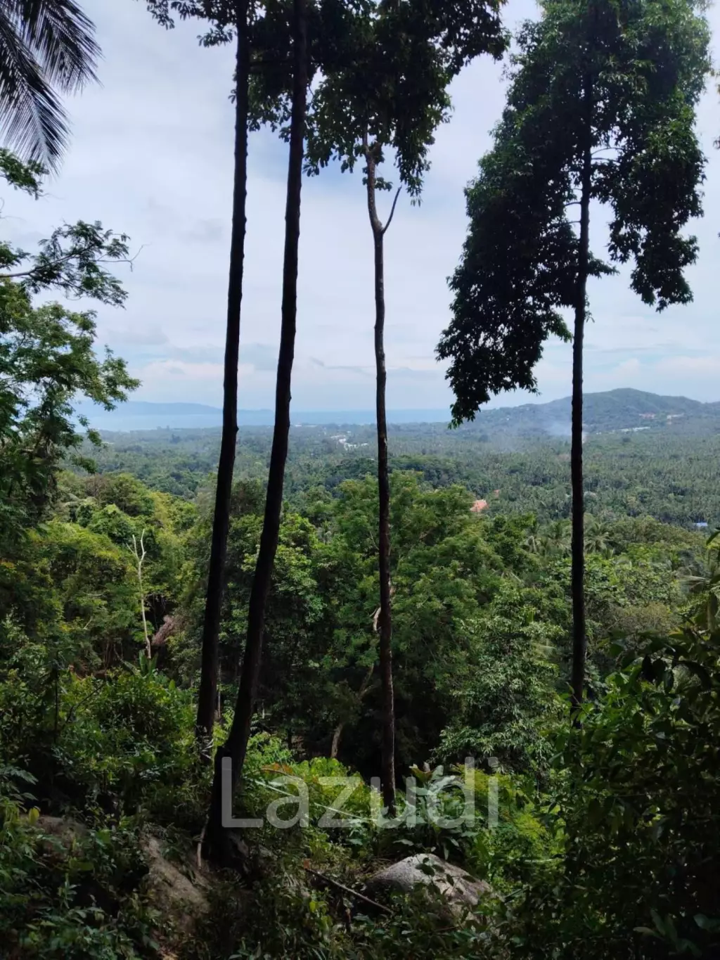 Land with Sea View – Koh Phangan