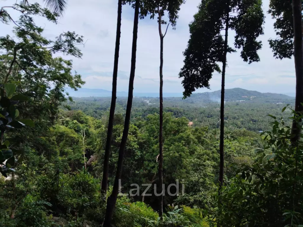 Land with Sea View – Koh Phangan