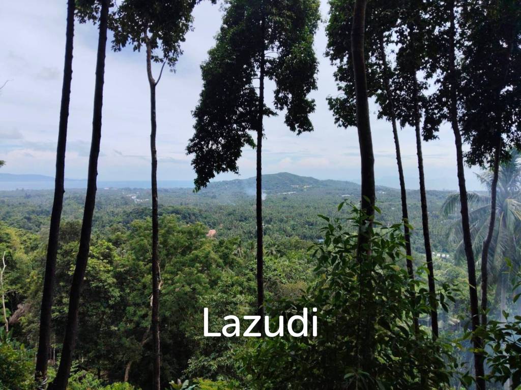 Land with Sea View – Koh Phangan