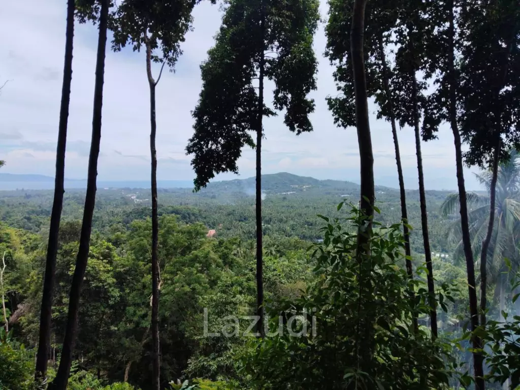 Land with Sea View – Koh Phangan
