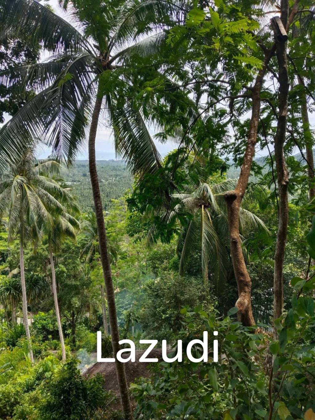Land with Sea View – Koh Phangan