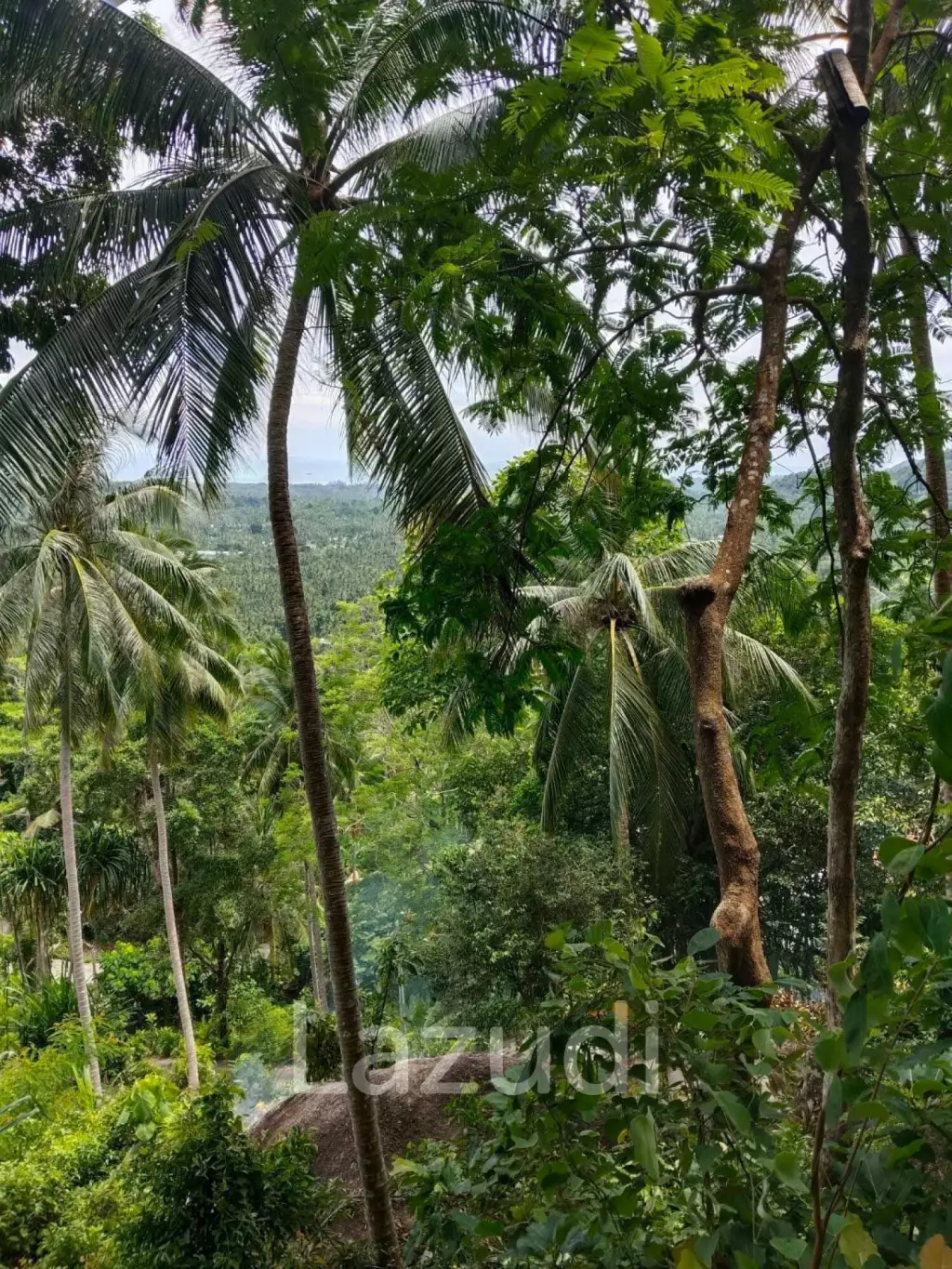 Land with Sea View – Koh Phangan