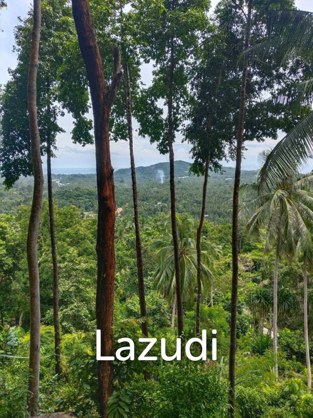 Land with Sea View – Koh Phangan