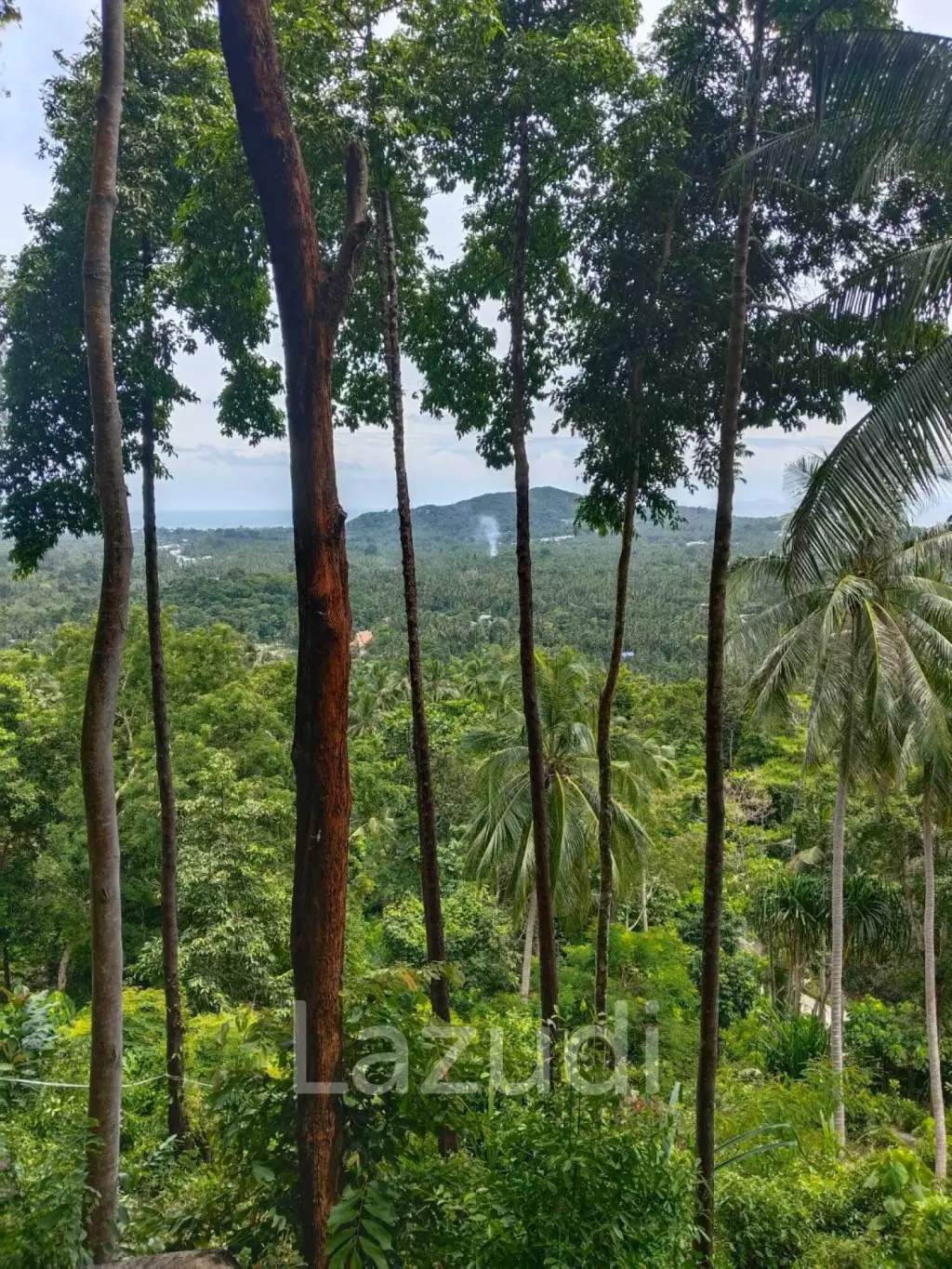Land with Sea View – Koh Phangan