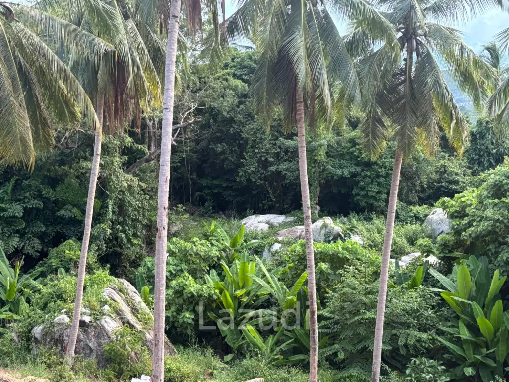 Land with Sea View – Koh Phangan