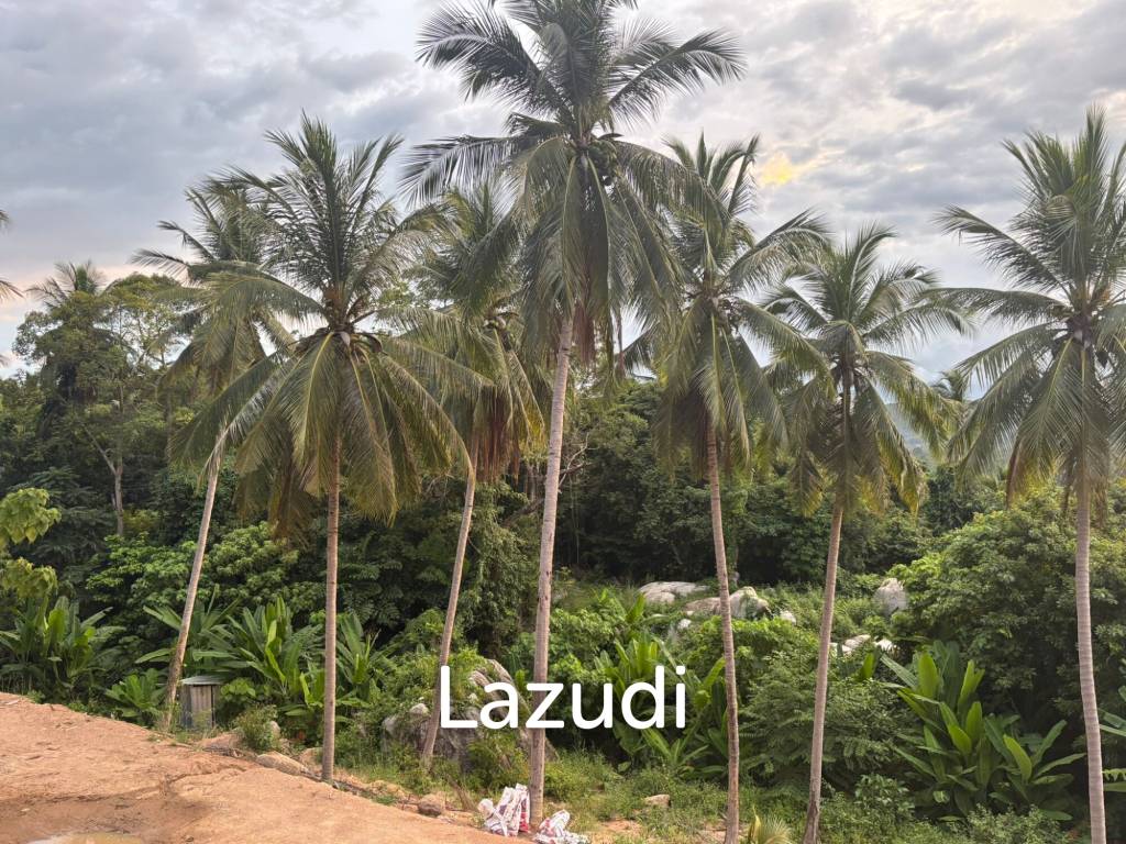 Land with Sea View – Koh Phangan
