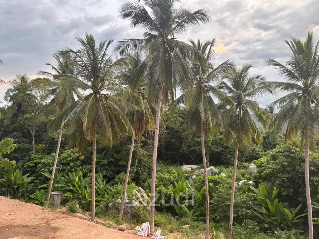Land with Sea View – Koh Phangan