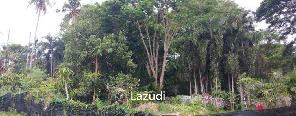1,166 SQ.M. Land for Sale In Pornprapanimit