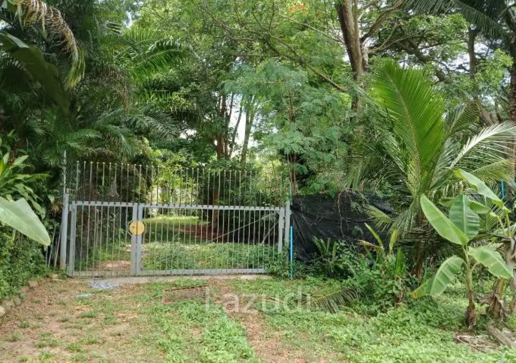 1,166 SQ.M. Land for Sale In Pornprapanimit