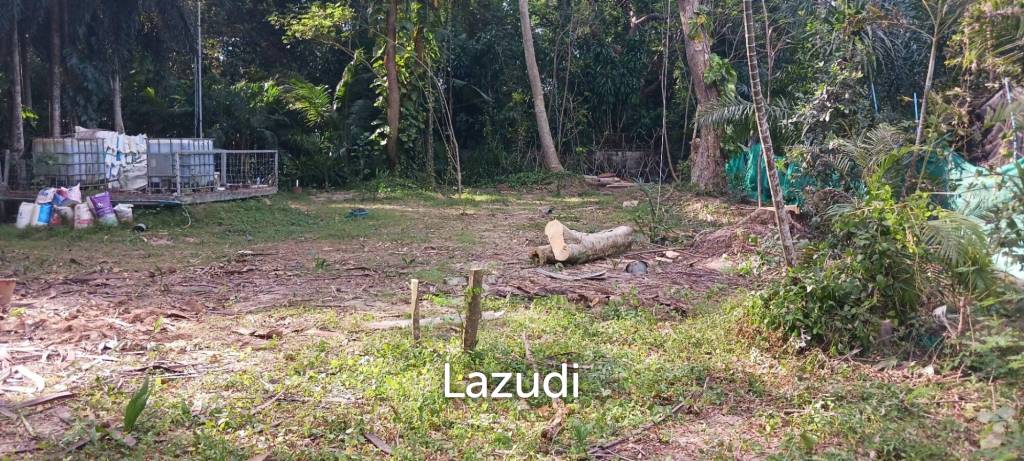 1,166 SQ.M. Land for Sale In Pornprapanimit