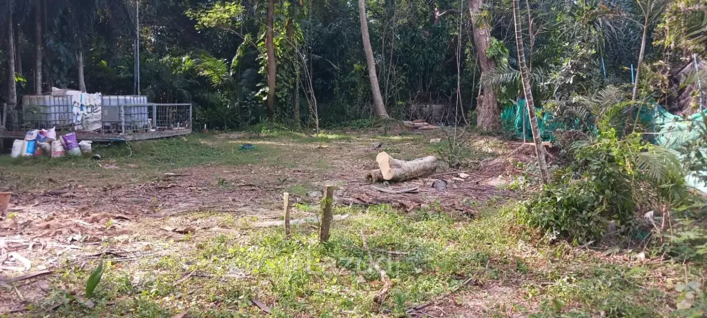 1,166 SQ.M. Land for Sale In Pornprapanimit