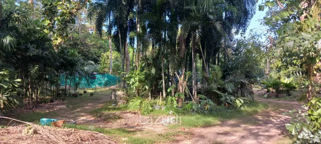 1,166 SQ.M. Land for Sale In Pornprapanimit