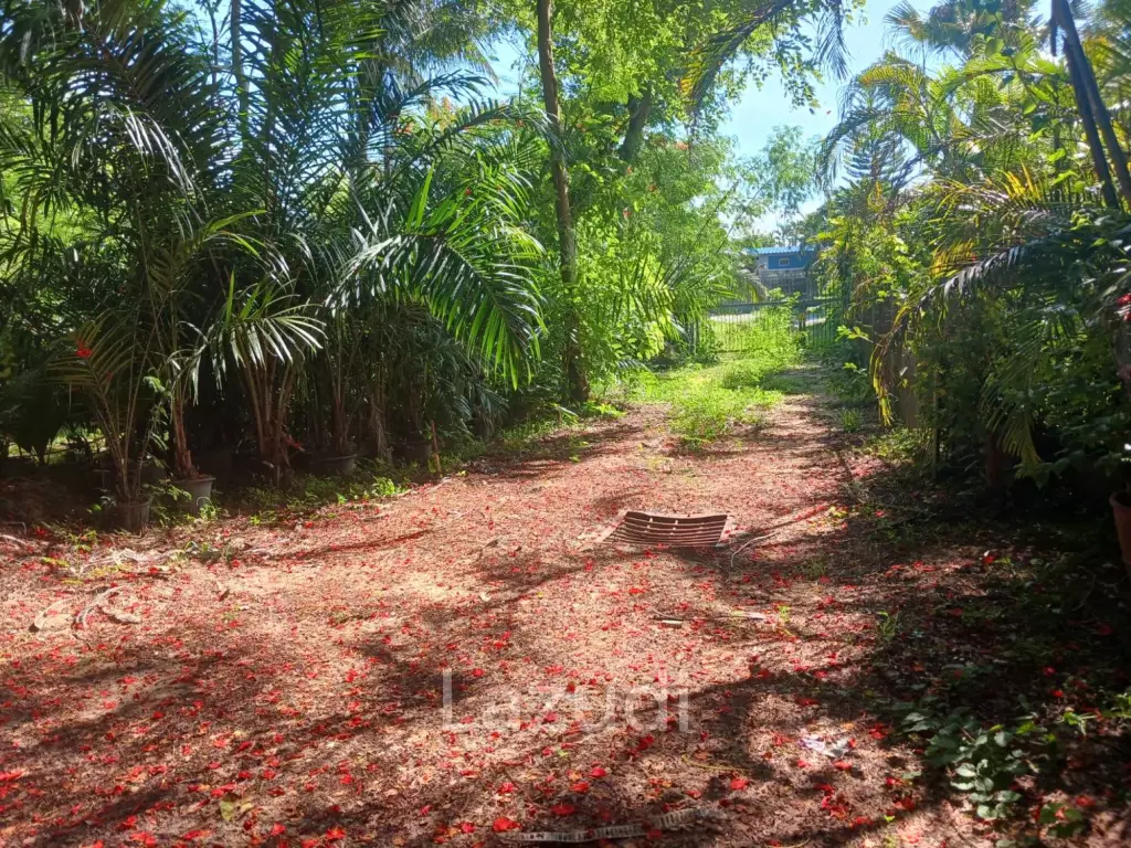 1,166 SQ.M. Land for Sale In Pornprapanimit