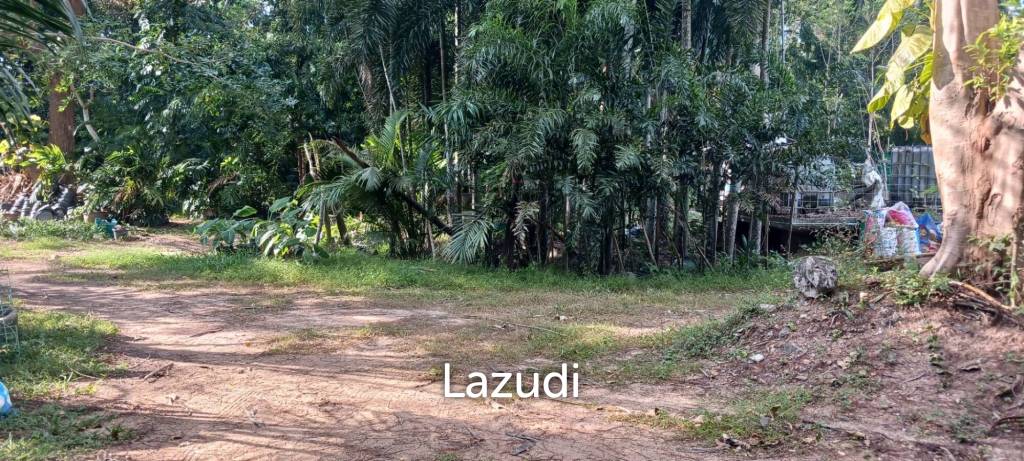 1,166 SQ.M. Land for Sale In Pornprapanimit