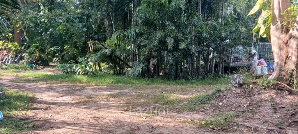 1,166 SQ.M. Land for Sale In Pornprapanimit