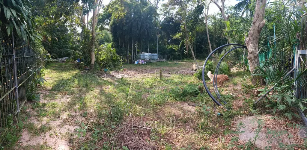 1,166 SQ.M. Land for Sale In Pornprapanimit