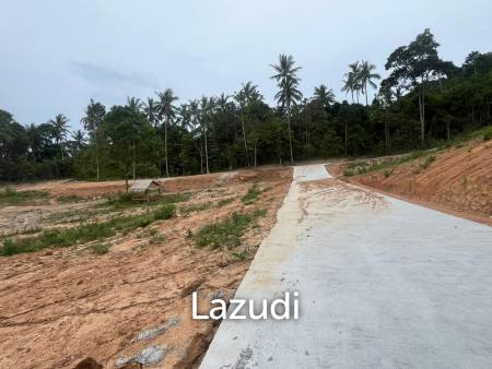 Sea View Land for Sale In Pang Por