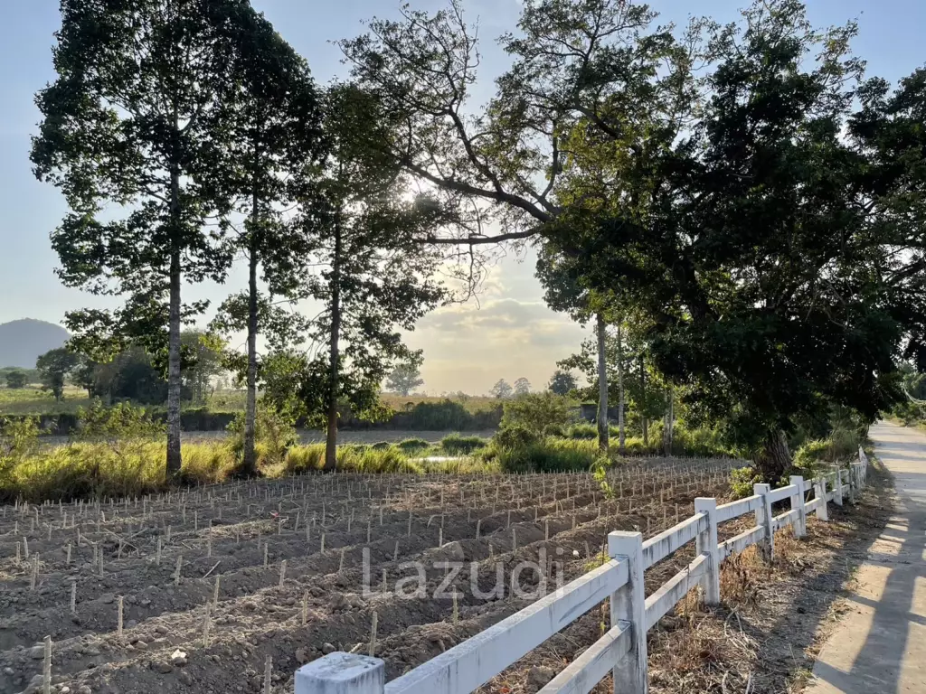 ที่ดินเปล่า  เนื้อที่กว้าง วิวภูเขา สภาพแวดล้อมธรรมชาติ