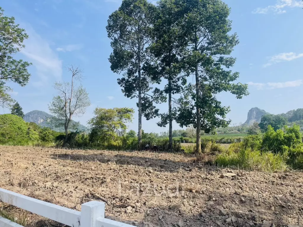 ที่ดินเปล่า  เนื้อที่กว้าง วิวภูเขา สภาพแวดล้อมธรรมชาติ