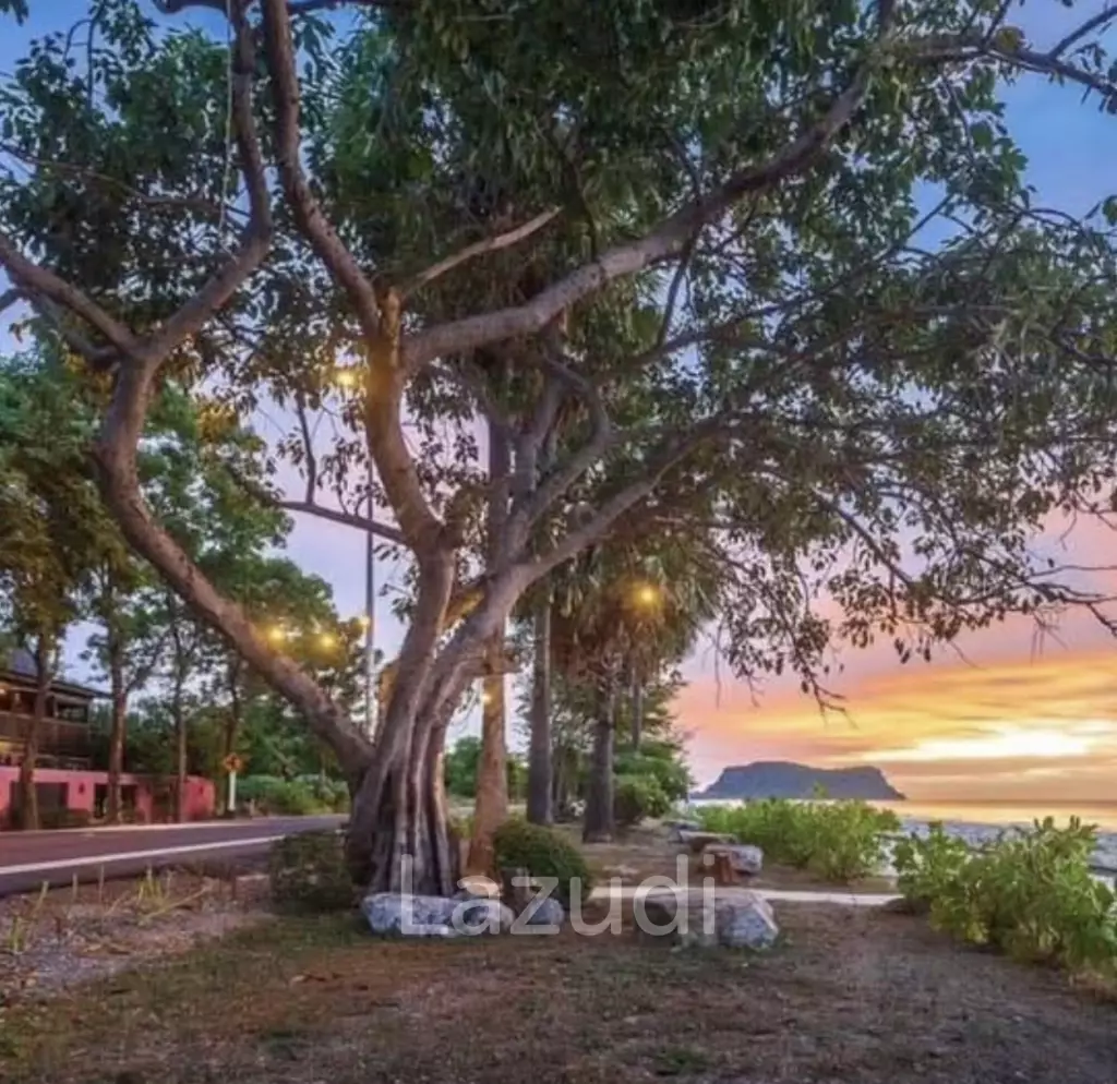 RESORT : Sea View Main House plus 3 guest bungalows