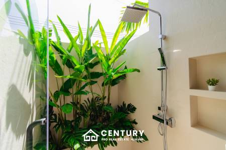 808 ตร.ม 3 เตียง 4 อาบน้ำ วิลล่า For ขาย