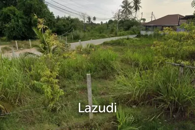 ขายที่ดินเปล่าขนาดใหญ่ในหนองปรือ บางละมุง ชลบุรี วิวโล่ง