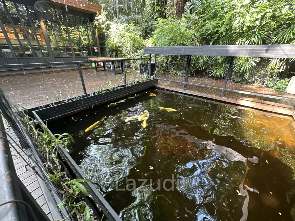 Restaurant with Tranquil Greenery in Sathon Bangkok