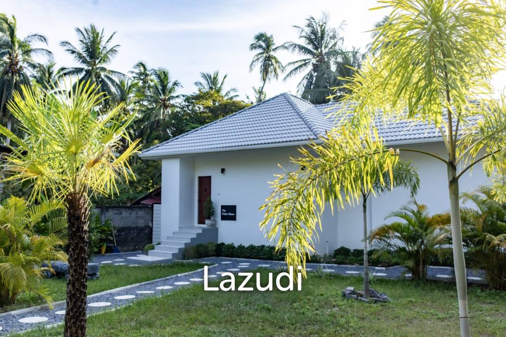 Stunning New 400 sqm Villa – Near Thong Sala and Srithanu