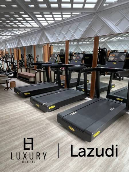 51 qm 1 Bett 1 Bad Apartment Für Miete