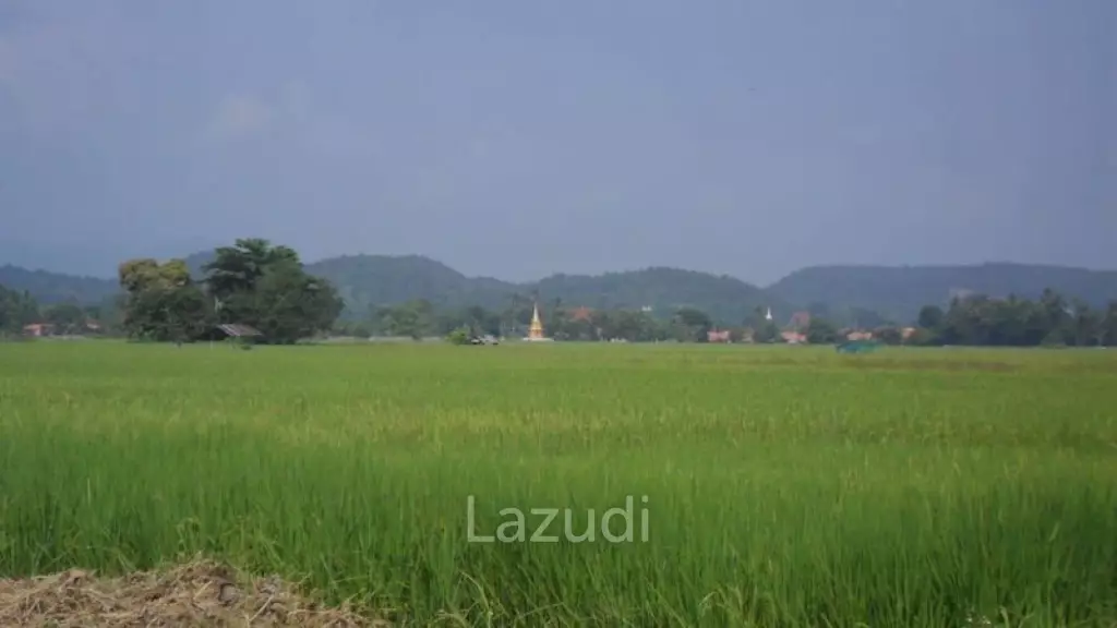 ขายที่ดิน 18 ไร่ ติดถนนลาดยางและคลองชลประทาน อ.แม่ริม