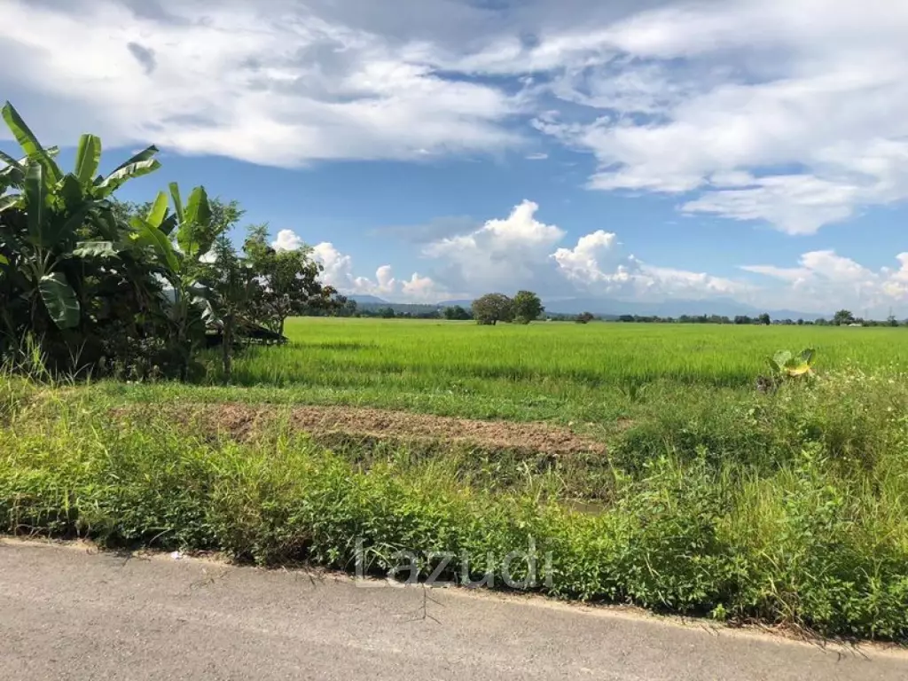 ขายที่ดิน 18 ไร่ ติดถนนลาดยางและคลองชลประทาน อ.แม่ริม