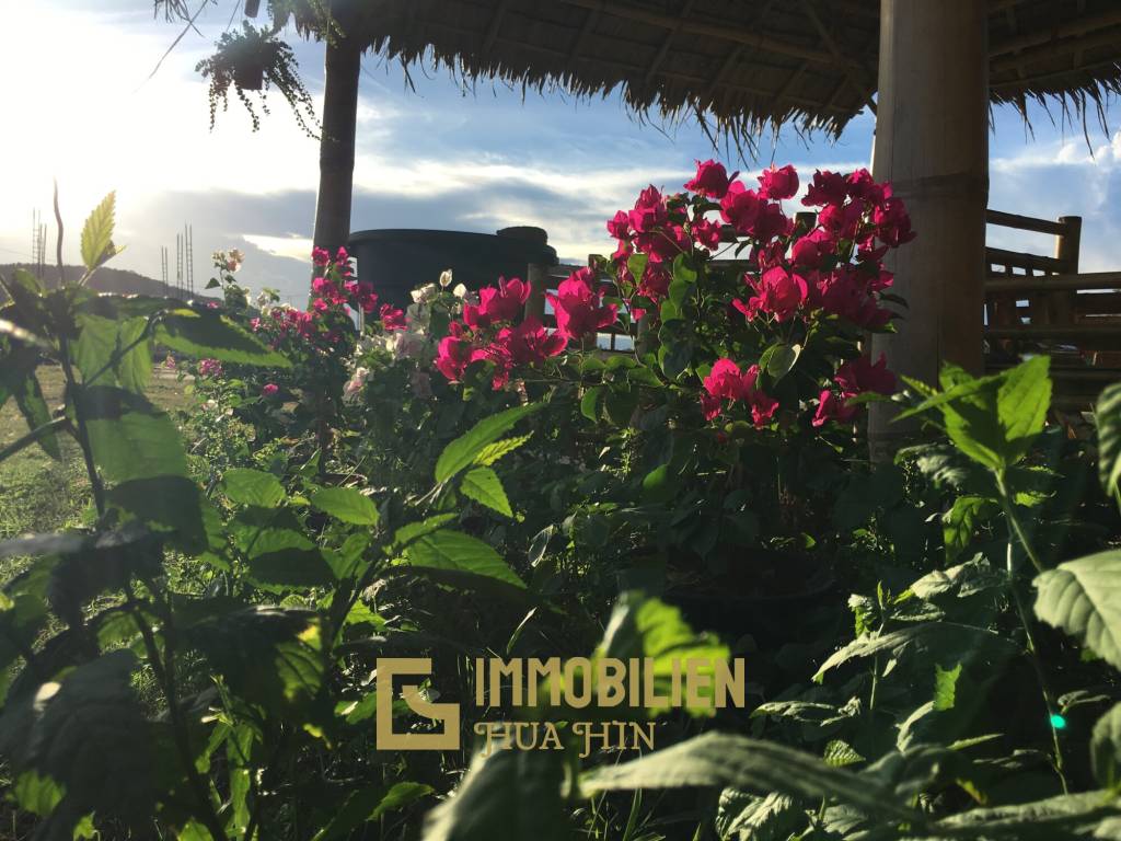 Ruhige Lage umgeben von Natur / 992 qm Grundstück