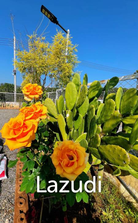 พลูวิลล่า 2 ชั้น 4 ห้องนอนพร้อมสระว่ายน้ำ วิวดอยอินทนนท์