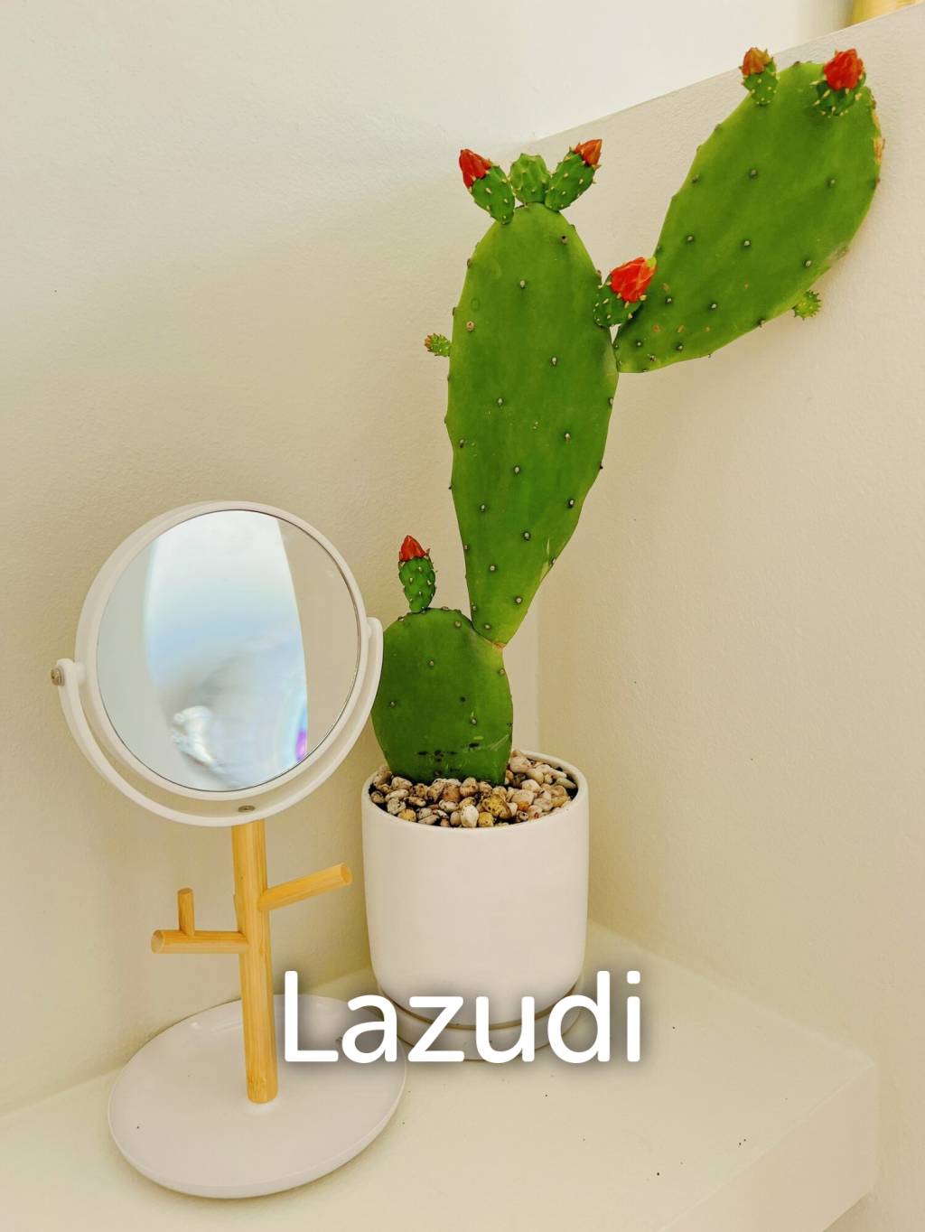 พลูวิลล่า 2 ชั้น 4 ห้องนอนพร้อมสระว่ายน้ำ วิวดอยอินทนนท์