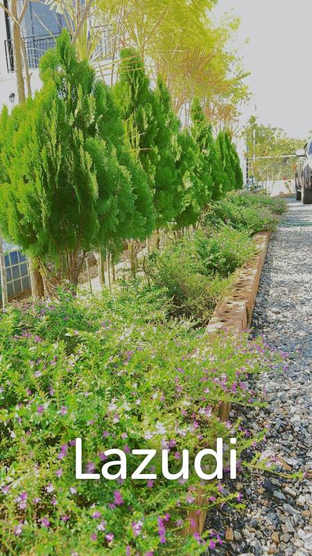 พลูวิลล่า 2 ชั้น 4 ห้องนอนพร้อมสระว่ายน้ำ วิวดอยอินทนนท์