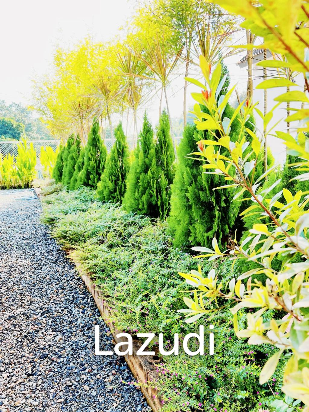 พลูวิลล่า 2 ชั้น 4 ห้องนอนพร้อมสระว่ายน้ำ วิวดอยอินทนนท์