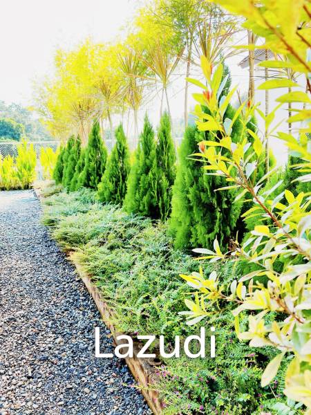 พลูวิลล่า 2 ชั้น 4 ห้องนอนพร้อมสระว่ายน้ำ วิวดอยอินทนนท์