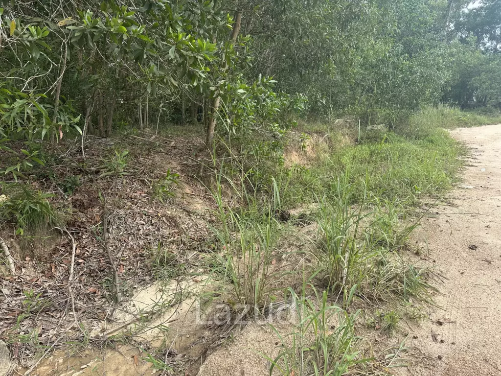 Land with  House and Great Potential Between Srithanu and Thongsala