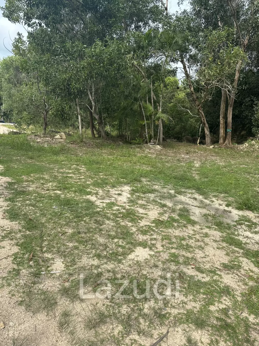 Land with  House and Great Potential Between Srithanu and Thongsala