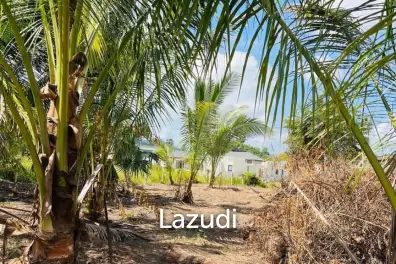 Hot Priced Flat Land 500m to the Beach in Hua Thanon