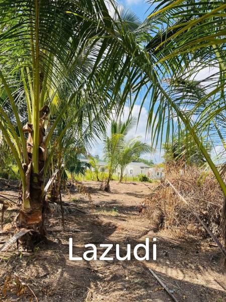 Hot Priced Flat Land 500m to the Beach in Hua Thanon