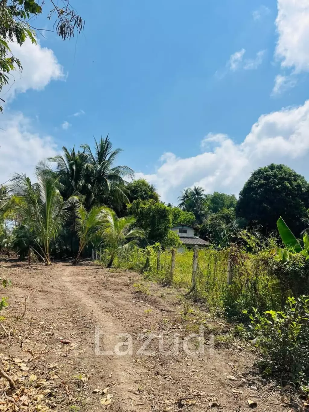 Hot Priced Flat Land 500m to the Beach in Hua Thanon
