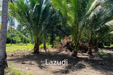 Hot Priced Flat Land 500m to the Beach in Hua Thanon