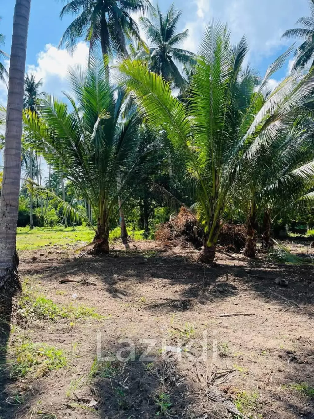 Hot Priced Flat Land 500m to the Beach in Hua Thanon