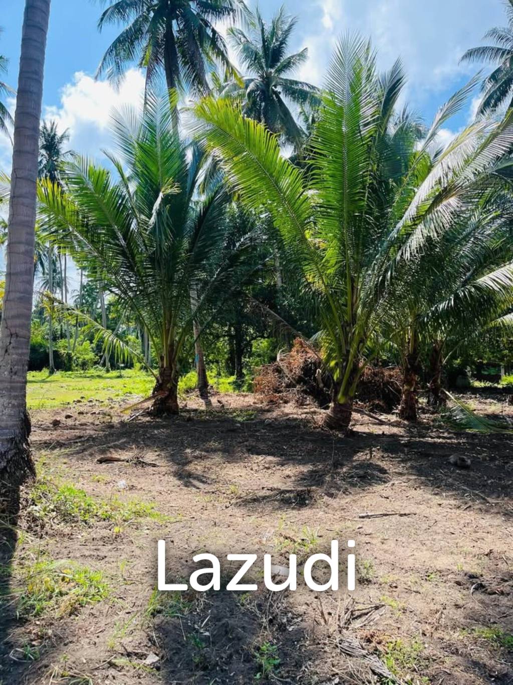 Hot Priced Flat Land 500m to the Beach in Hua Thanon