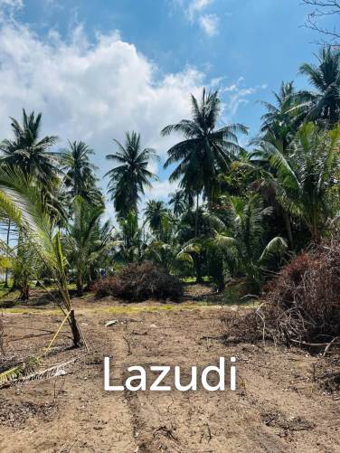 Hot Priced Flat Land 500m to the Beach in Hua Thanon